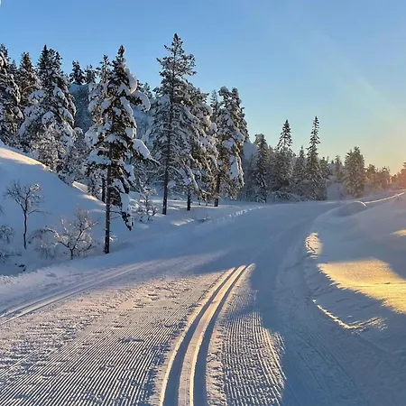 3 Bedroom Stunning In Aseral *