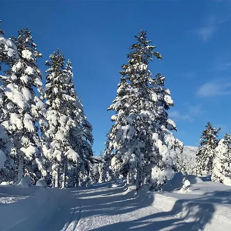 3 Bedroom Stunning In Aseral Holiday home *