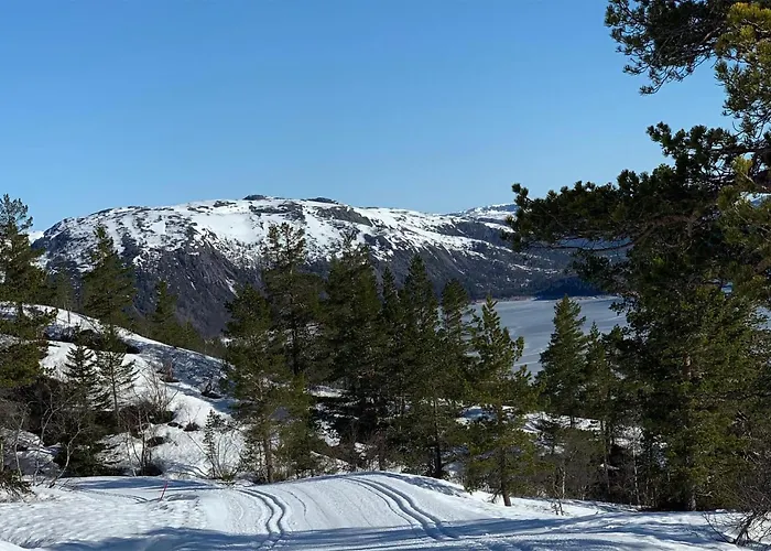 3 Bedroom Stunning In Aseral