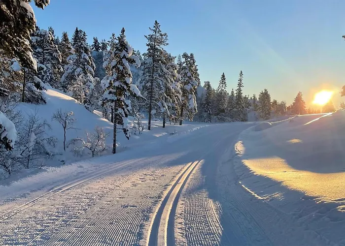 3 Bedroom Stunning In Aseral *