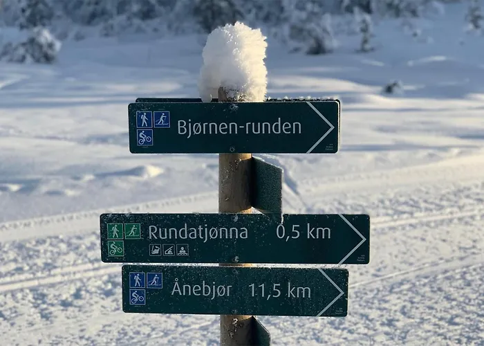 3 Bedroom Stunning In Aseral * Tjaldal